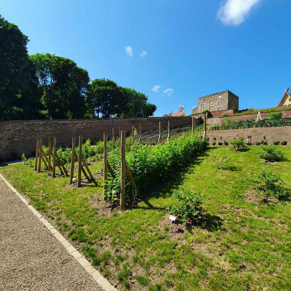 bishop auckland walled garden